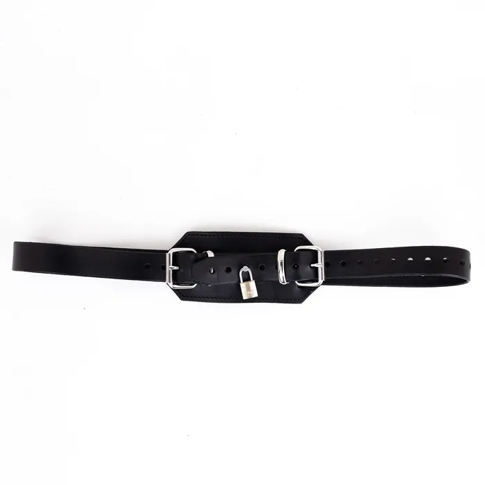 Fetters Female Sex Toys Elbow Binder Strap