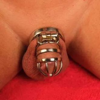 Male Sex Toys Steel Chastity cage Short Standard Long Sizes Oxyshop