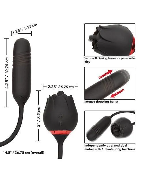 French Kiss Elite Romeo California Exotic Novelties Vibrators