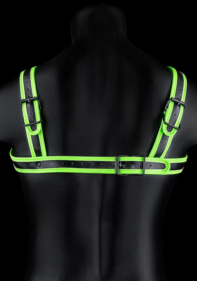 GLOW IN THE DARK BUCKLE HARNESS SM SHOTS AMERICA LLC Female Sex Toys