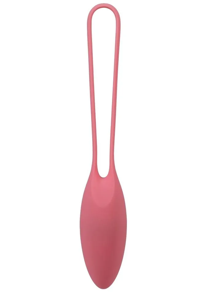 Female Sex Toys In A Bag Kegel Trainer Kit In A Bag