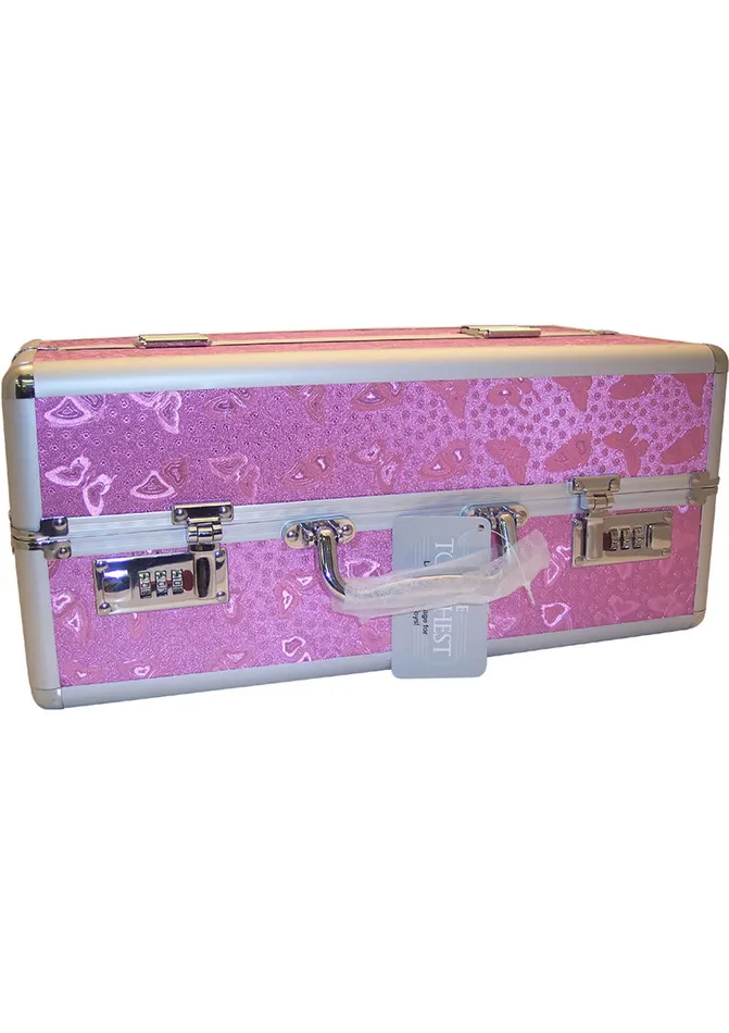 Female Sex Toys Powerbullet Lockable Vibrator Case