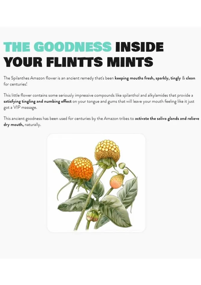 Flintts Mints Mouth Watering Oral Delights Luxury Flintts Mints Vibrators
