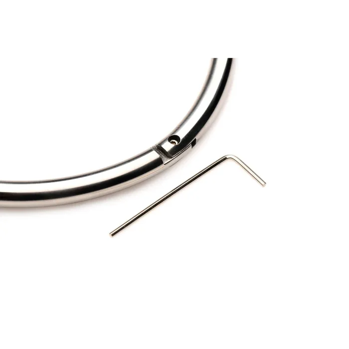Male Sex Toys Master Series Master Series Possession Stainless Steel Locking Collar Small