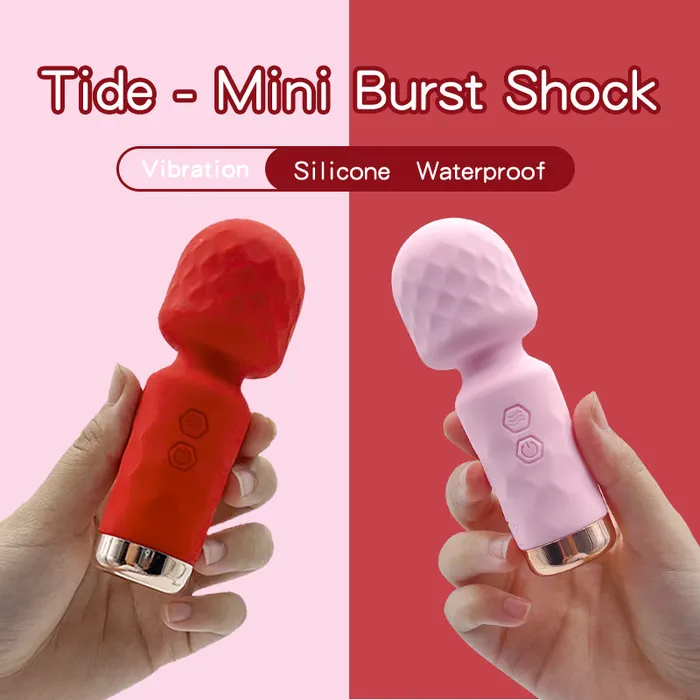 Orgasmaide MINI AV WAND Vibrators