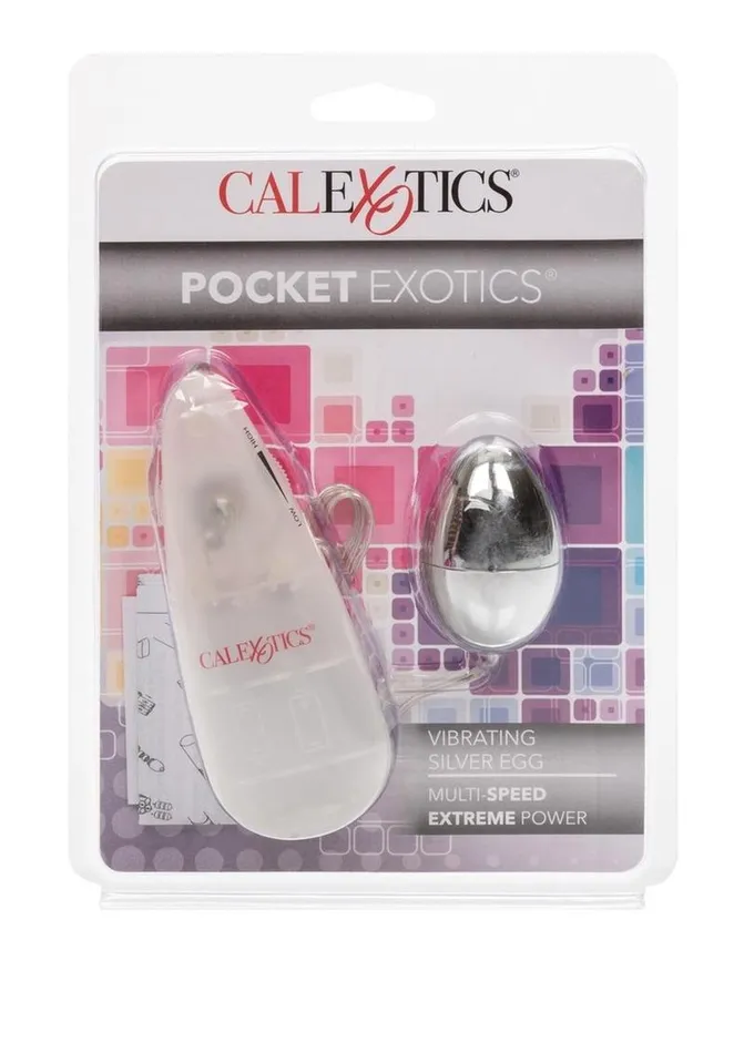 Pocket Exotics Vibrating Silver Egg Pocket Exotics Female Sex Toys Pocket Exotics Vibrating Silver Egg Pocket Exotics Female Sex Toys