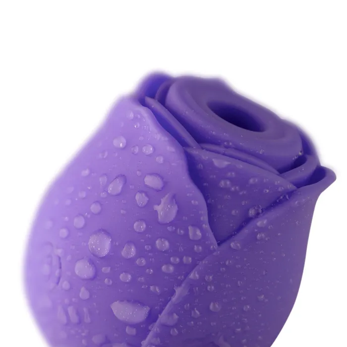 You Love Me Vibrators You Love Me Pick Me Rose Suction Vibrator Purple